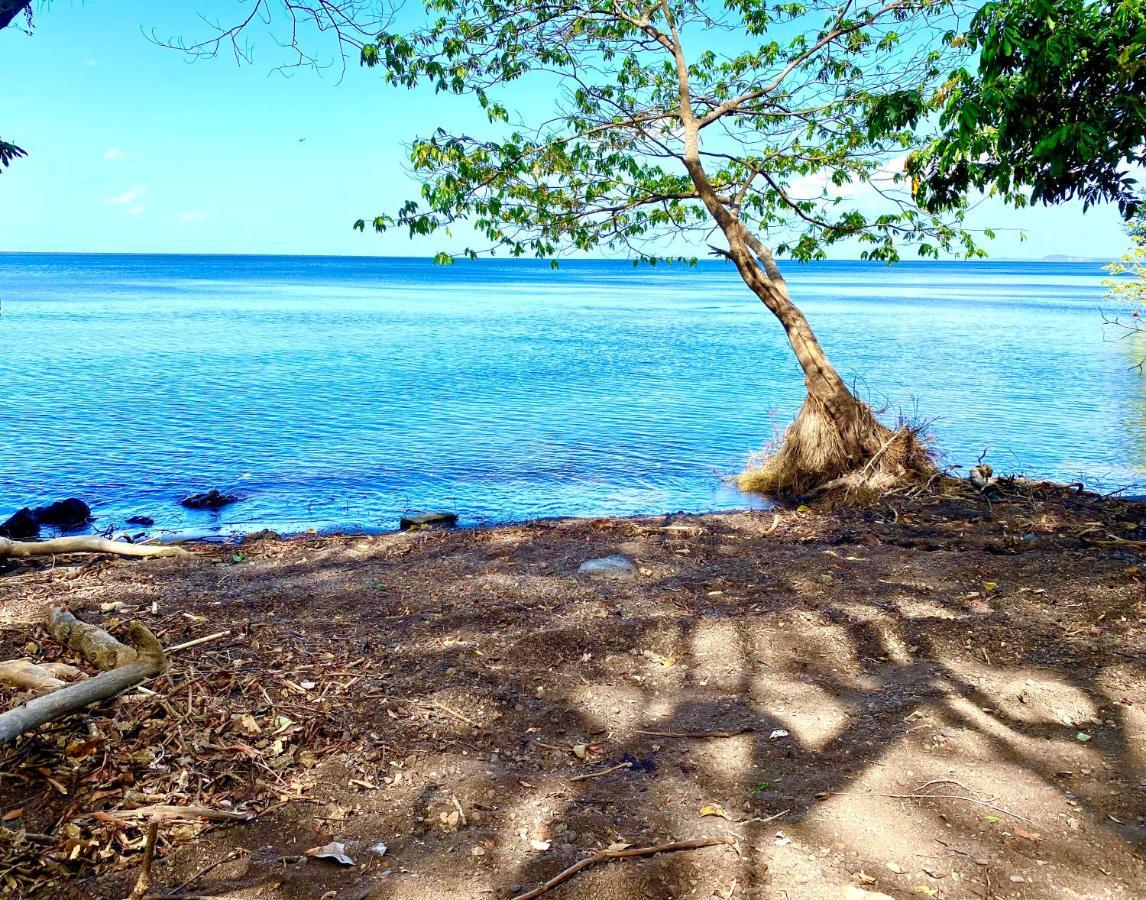 Villa Ometepe Mérida Dış mekan fotoğraf